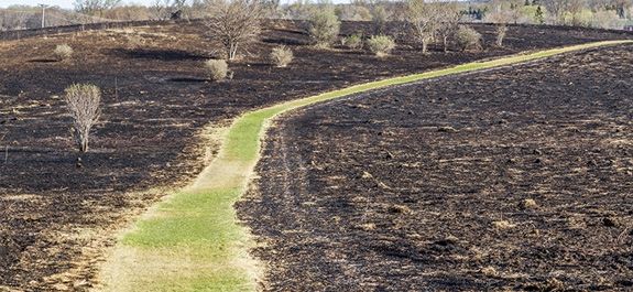 Landscape destroyed due to a lack of proper brush management