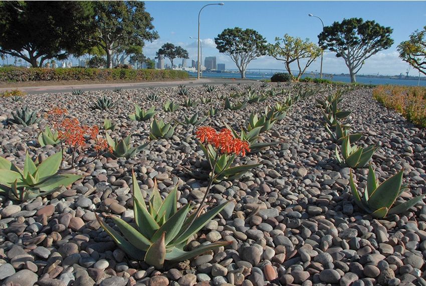 Port of San Diego